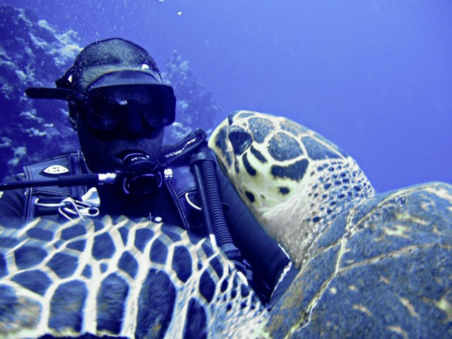 Schildkröte sagt Hallo - Schwimmen ErsteHilfe Tauchen Tirol