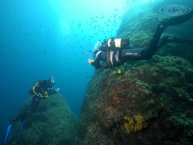 Steilwand Diving - Schwimmen Tauchen Tirol