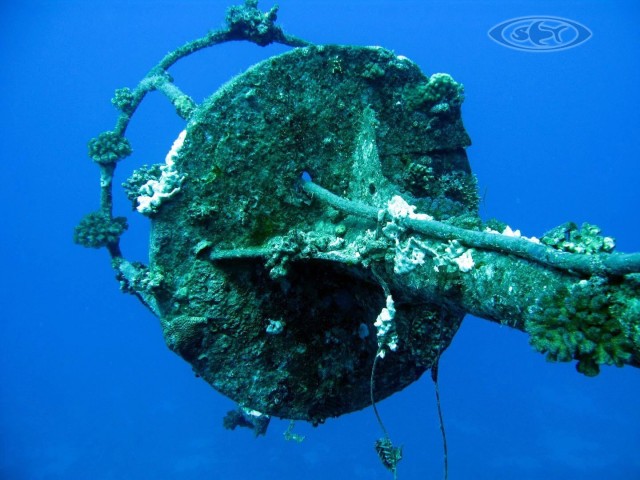 Wrack Mast Diving - Schwimmen Tauchen Tirol