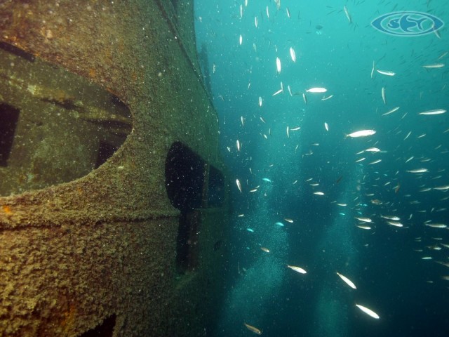 Wrack am Bug Diving - Schwimmen Tauchen Tirol